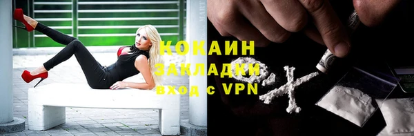 гидра Балахна