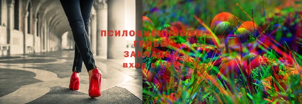 гидра Балахна