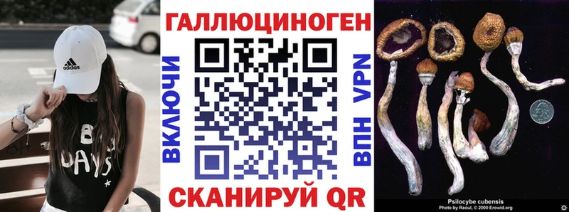 Галлюциногенные грибы MAGIC MUSHROOMS  сколько стоит  Буйнакск 