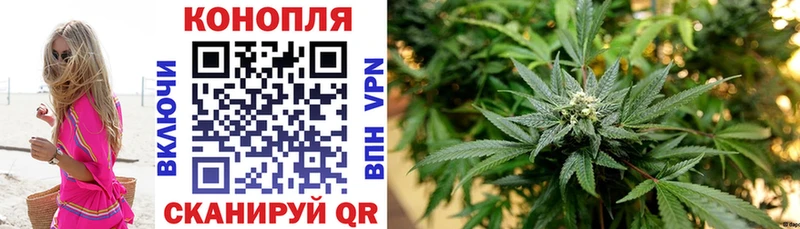 Шишки марихуана Bruce Banner цена Буйнакск